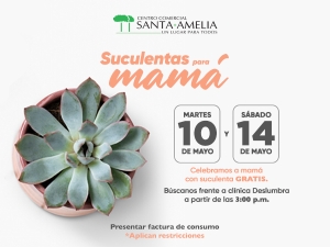 Día de la Madre